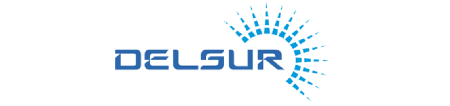 Delsur